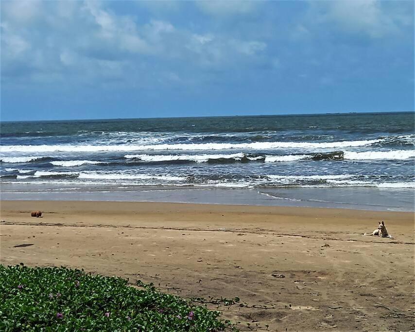 קאנאקונה Cockerel Homestay - Traditional Beach Village - Goa מראה חיצוני תמונה