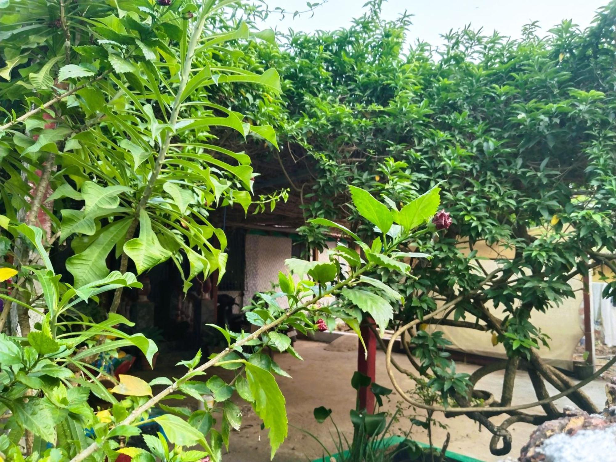 קאנאקונה Cockerel Homestay - Traditional Beach Village - Goa מראה חיצוני תמונה